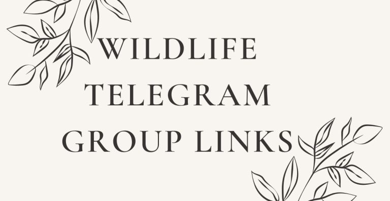 Latest Wildlife Telegram Group Links